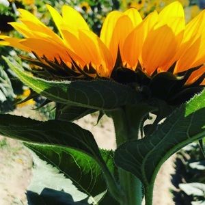 Meet your Posher, Bri